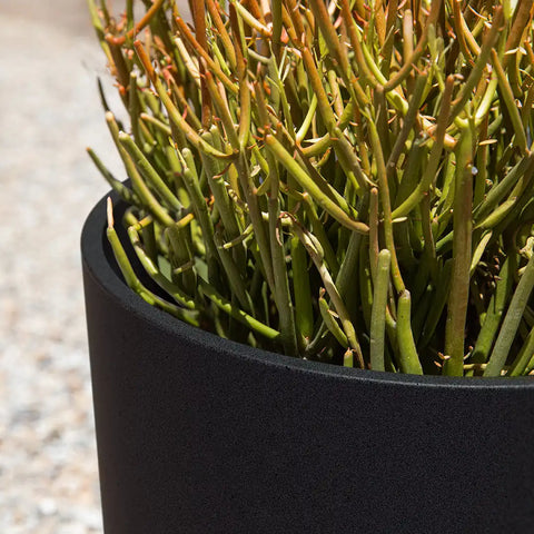 mason kona planter