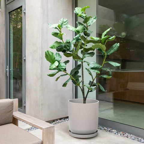 mason kona planter