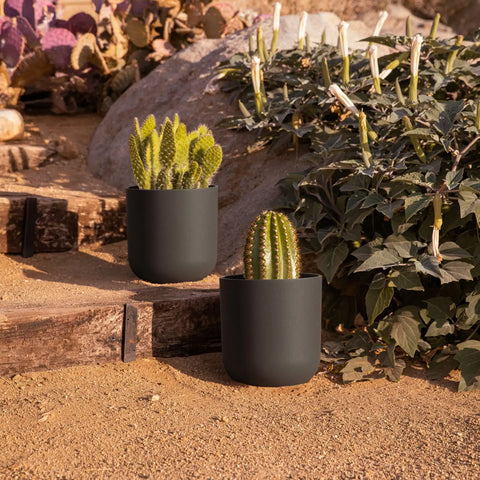 mason kona planter