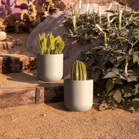 mason kona planter
