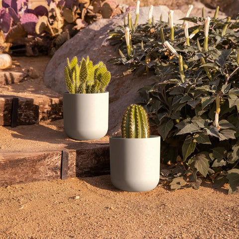 mason kona planter