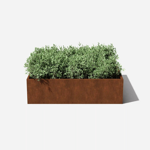 corten garden bed planter