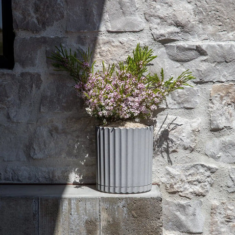 demi six planter
