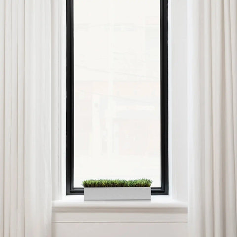 geo short planter