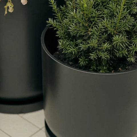 mason kona planter trio